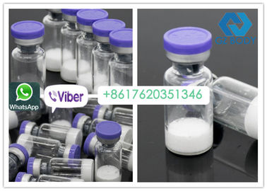 Weißes Peptid Pulver-Form-Aces 031, 2/5mg * Hormon des Bodybuilding-10vials